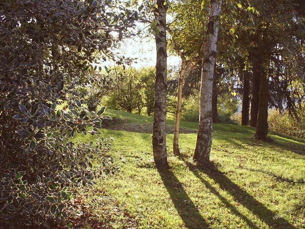 Cascina Langa Pensionat Trezzo Tinella Exteriör bild